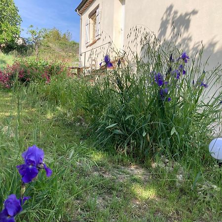 Villa Les Figuiers Cagnes-sur-Mer Extérieur photo
